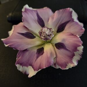 EUC VTG Capodimonte Porcelain Flower